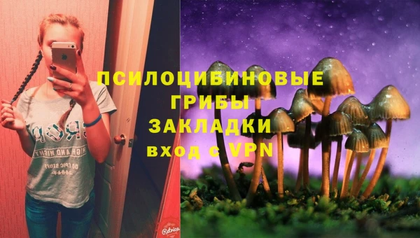 прущая мука Алексин
