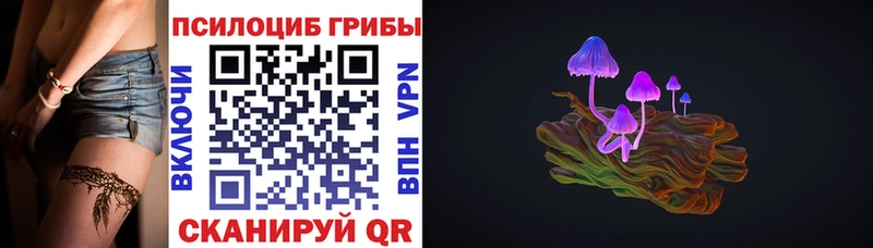 Псилоцибиновые грибы Psilocybe  Находка 